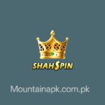 SHAH SPIN Game