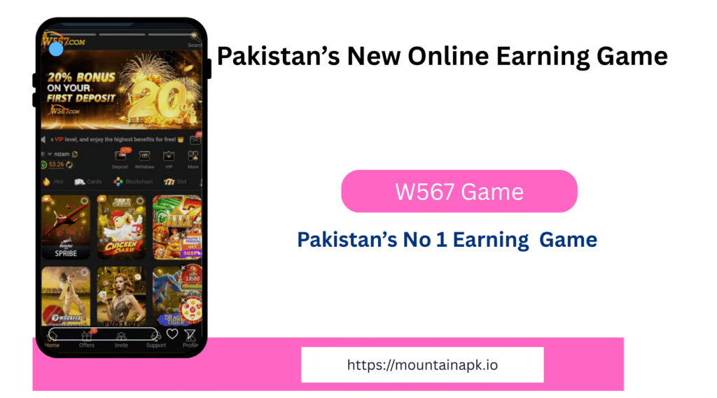 W567 Game