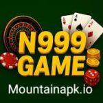 N999 Game