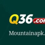 Q36 Game