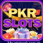 PKR SLOTS Game