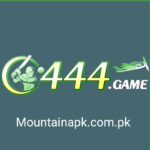 C444 Game