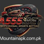 A555 Game