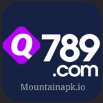 Q789 Game