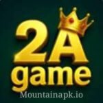 2A Game