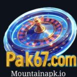 Pak67 Game