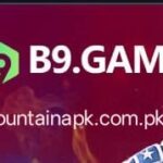 B9 Game