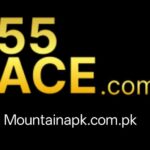 55ACE Game