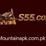 S55 Game