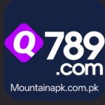 Q789 Game Logo