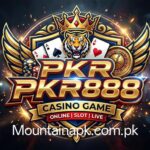 PKR888 Game
