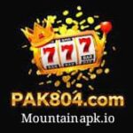 PAK804 Game