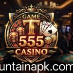 T555 Game Logo