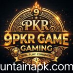 9PKR Game Logo