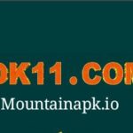 DK11 Game