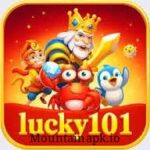 Lucky 101 Game