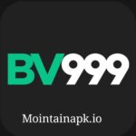 BV999 Game