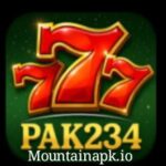 PAK234 Game