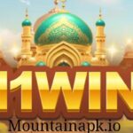 11Win Game