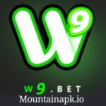 W9Bet Game