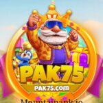PAK75 Game
