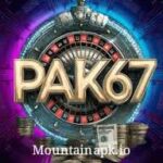 PAK67 Plus Game