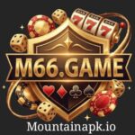 M66 Game