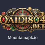 Qaidi804 Game