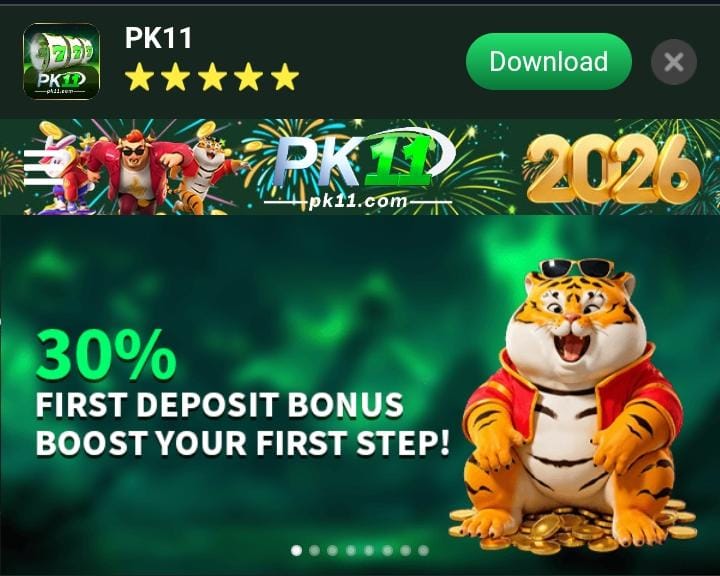 PK11 Game