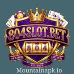 804Slot Game