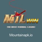 MILWIN Game