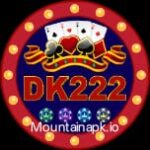 DK222 Game