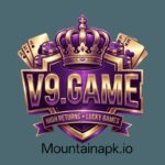 V9 Game