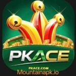 PAKACE Game
