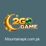 2GO Game