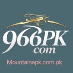 966PK Game
