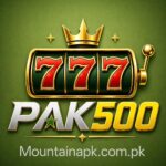 PAK500 Game