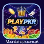 PLAYPKR Game