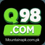 Q98 Game