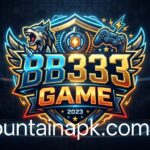 BB333 Game