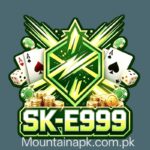 SK-E999 Game Logo